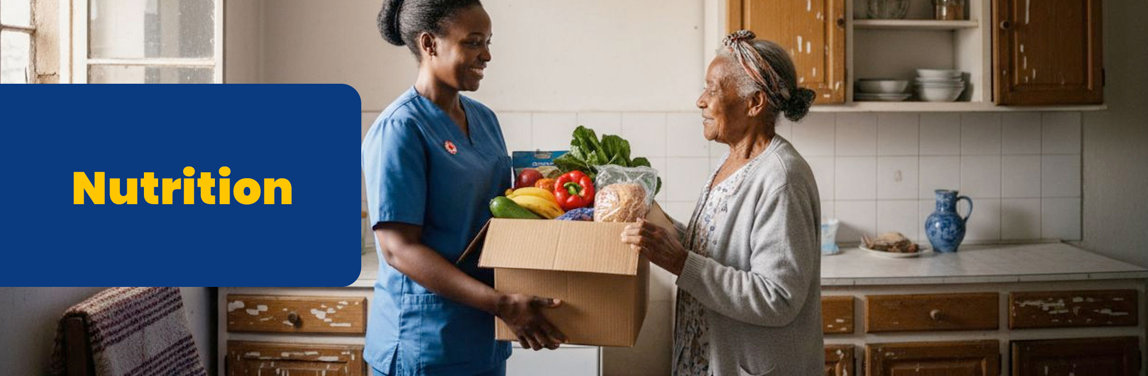 Healthy food and nutrition support for medically tailored prescriptions